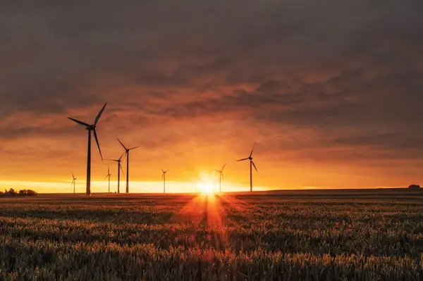 WHO, Netherlands Renew Climate-Health Pact as Floods, Heat and Disease Intensify Worldwide